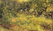 Ivan Shishkin Aegopodium, Pargolovo oil on canvas